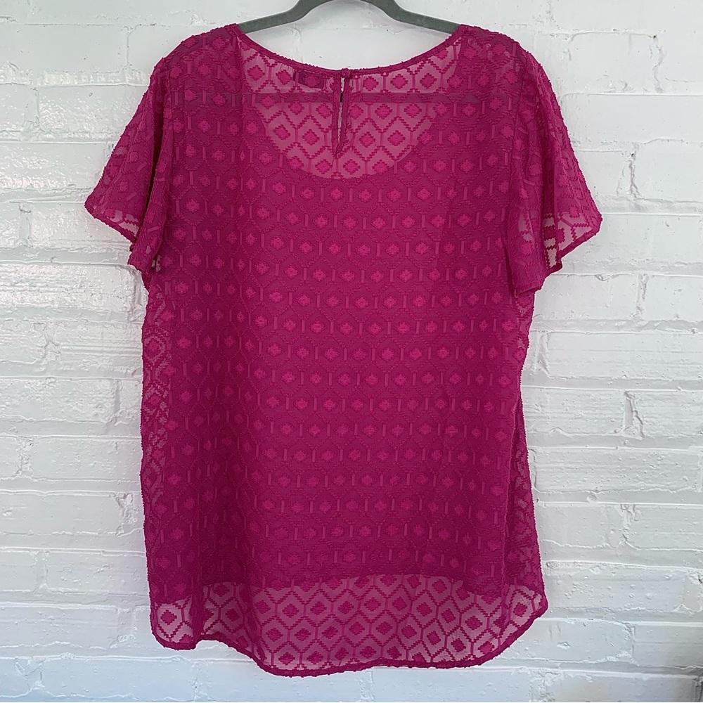 Torrid Sheer Top W/ Flutter Sleeves - Size 1 - image 5